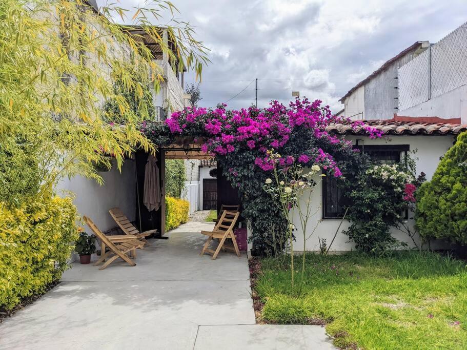 ホテル Casa Mua San Cristóbal de Las Casas エクステリア 写真
