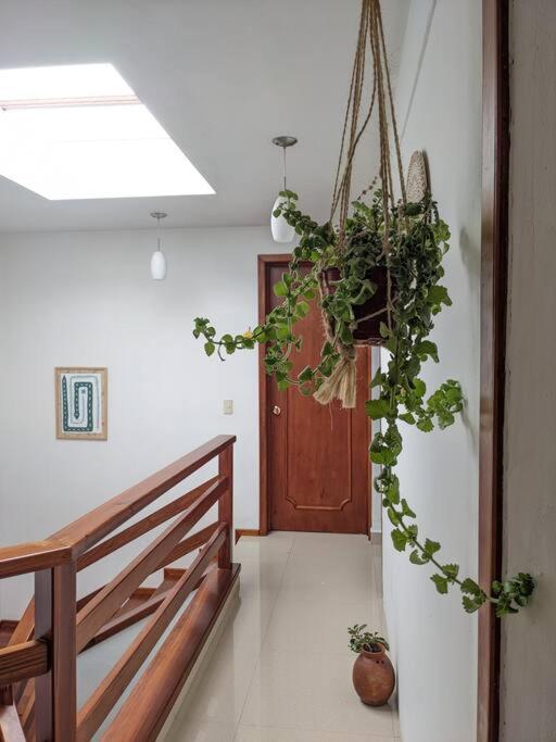 ホテル Casa Mua San Cristóbal de Las Casas エクステリア 写真