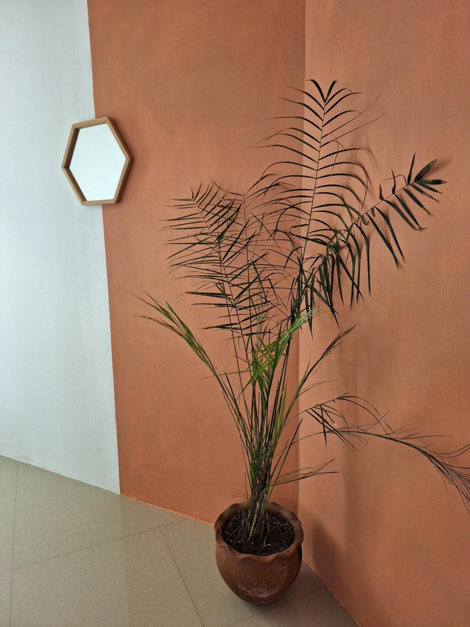 ホテル Casa Mua San Cristóbal de Las Casas 部屋 写真