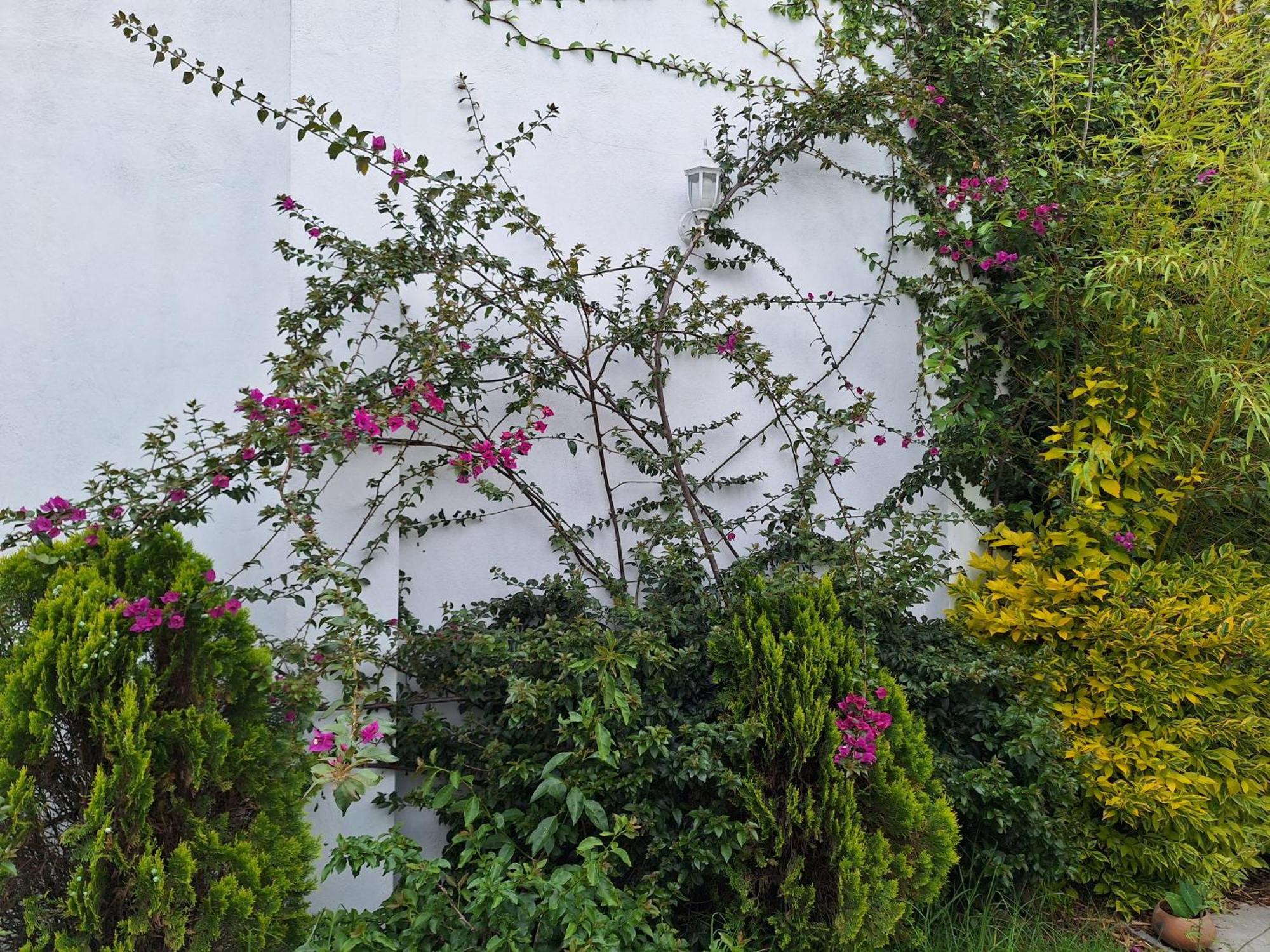 ホテル Casa Mua San Cristóbal de Las Casas 部屋 写真